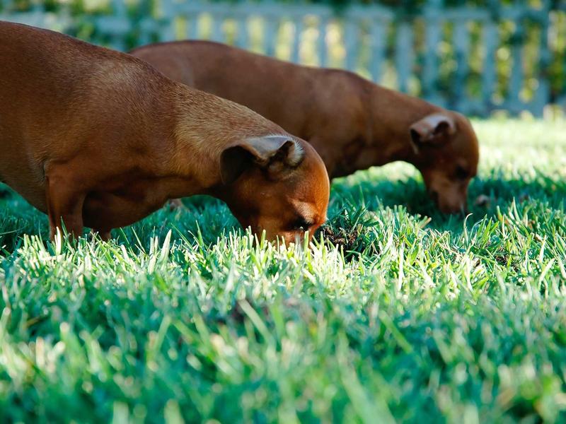 sudoku hint feature screenshot 4